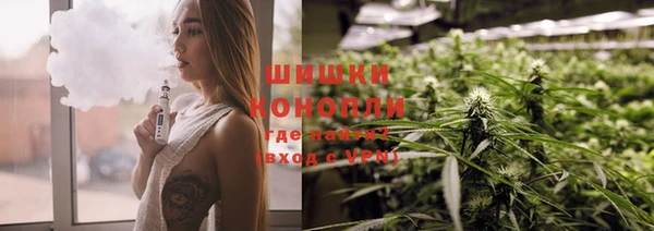 гидропоника Осинники