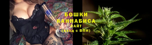МДПВ Бикин
