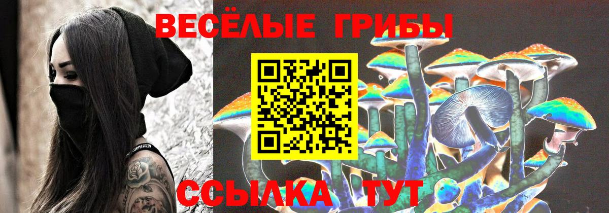 Псилоцибиновые грибы Psilocybine cubensis Луховицы